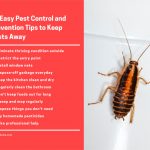 11 Easy Pest Control and Prevention Tips to Keep Pests Away