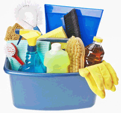 Cleaning supplies to clean kitchen appliances