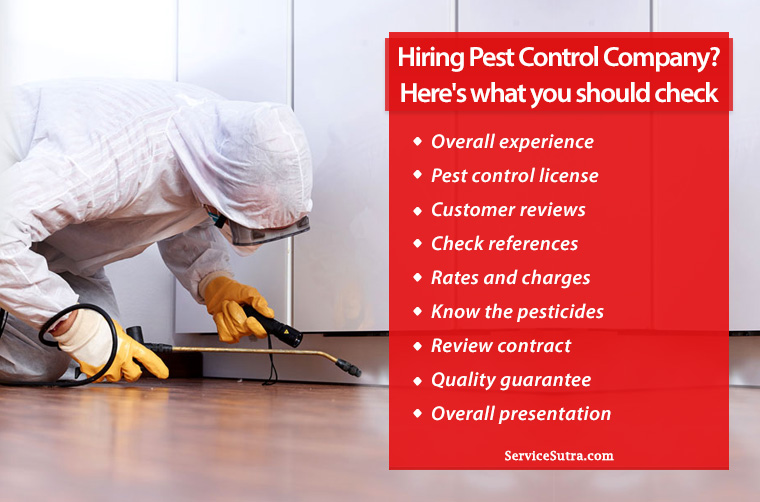 9 Important Things to Know When Hiring a Pest Control Company