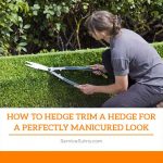 How To Hedge Trim A Hedge For a Perfectly Manicured Look