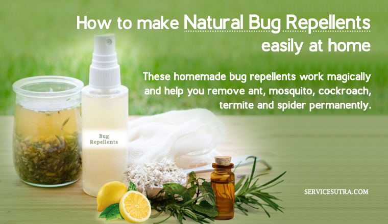 Natural Bug Repellents: These Homemade Bug Repellents Works Magically