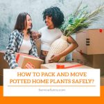 How to Pack and Move Potted Home Plants Safely?