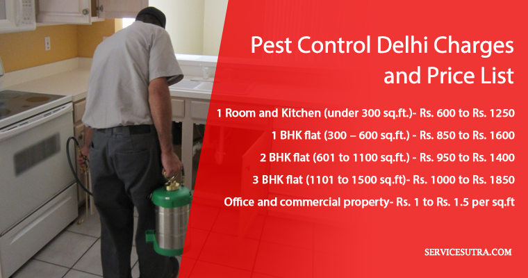 Pest Control Delhi Charges and Price List: Bedbug, Termite, Cockroach etc