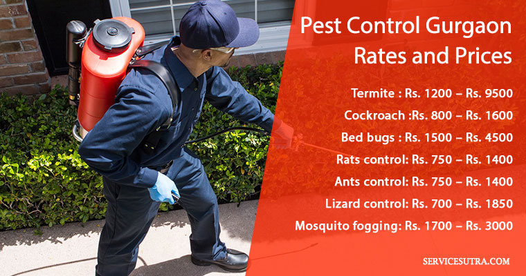 Pest Control Gurgaon Rates & Prices (Termites, Bedbugs, Cockroach)