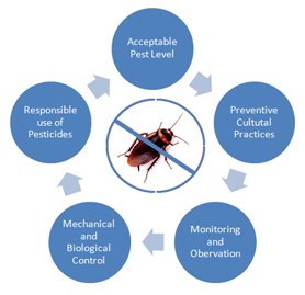 Pest control checklist to book services in India