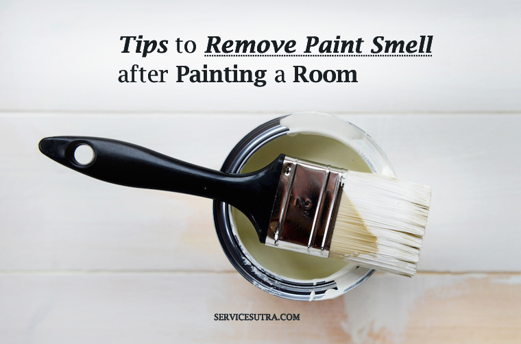 24 tips to remove paint smell after painting a room easily
