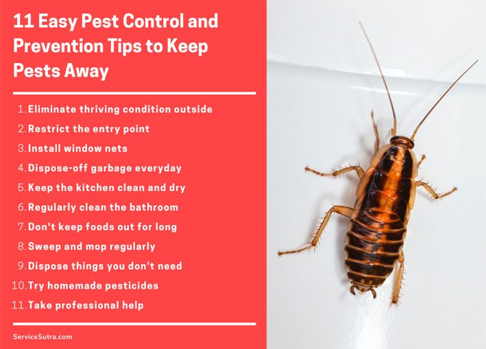 Pest Control Salt Lake City