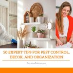 50 Home Improvement Tips for Pest Control, Decor, and Organization