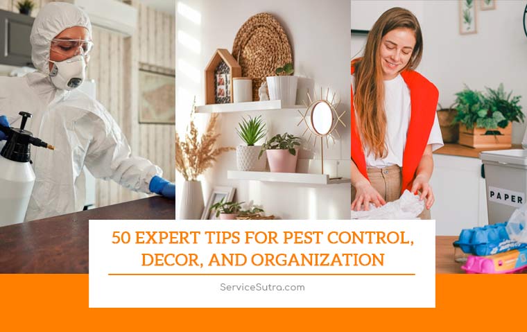 50 Home Improvement Tips for Pest Control, Decor, and Organization