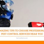 Amazing Tips to Choose Professional Pest Control Services Near You