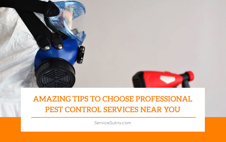 Amazing Tips to Choose Professional Pest Control Services Near You