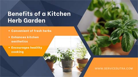  Benefits of a Kitchen Herb Garden