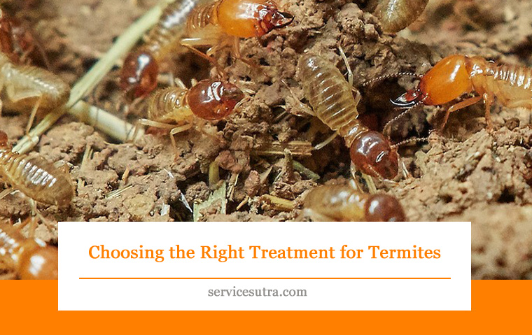 Choosing the right treatment for termites
