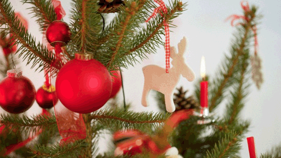 Christmas Decoration Ideas