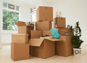 House shifting and storage