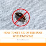 How to Get Rid of Bed Bugs While Moving