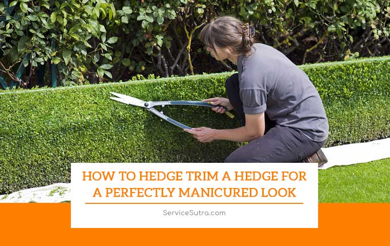 How To Hedge Trim A Hedge For a Perfectly Manicured Look