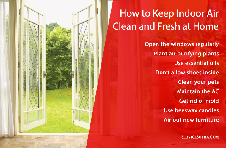 كيف تحافظ على نظافة الهواء الداخلي للنباتات