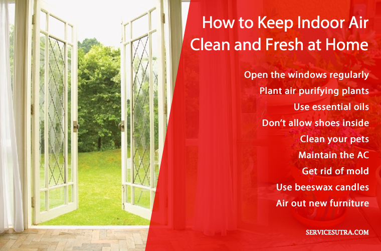 How to Make Indoor Air Clean and Fresh - Improve indoor air quality, Indoor  air quality, Clean air