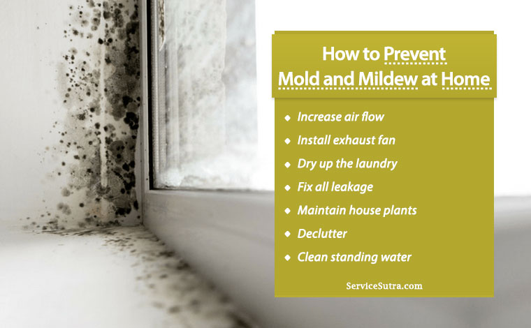 How to Prevent Mold and Mildew Infestation Easily at Home