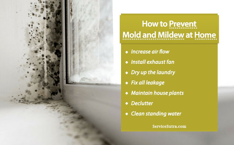 How to get rid of mould for good - AXA UK