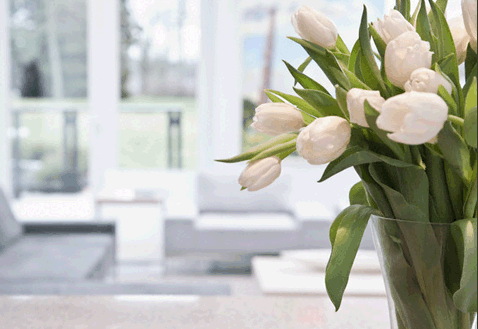 Interior decorating tips: using flower pots