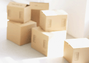 Local Movers and Packers in Delhi for packing and shifting