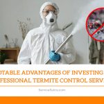 Notable Advantages of Investing in Professional Termite Control Services