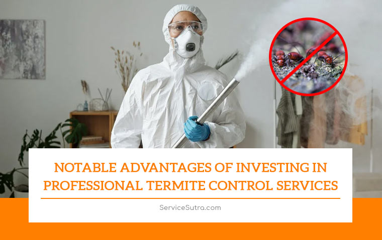 Notable Advantages of Investing in Professional Termite Control Services