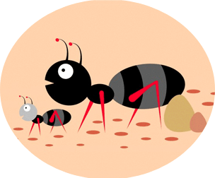 Pest Control in Mumbai: Compare and book at right price