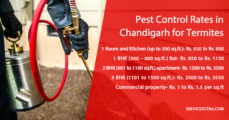 Rates and Charges of Pest Control Services in Chandigarh