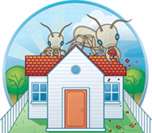 book a professional pest control company