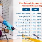 Pest Control Services in Kolkata - rates and charges explained