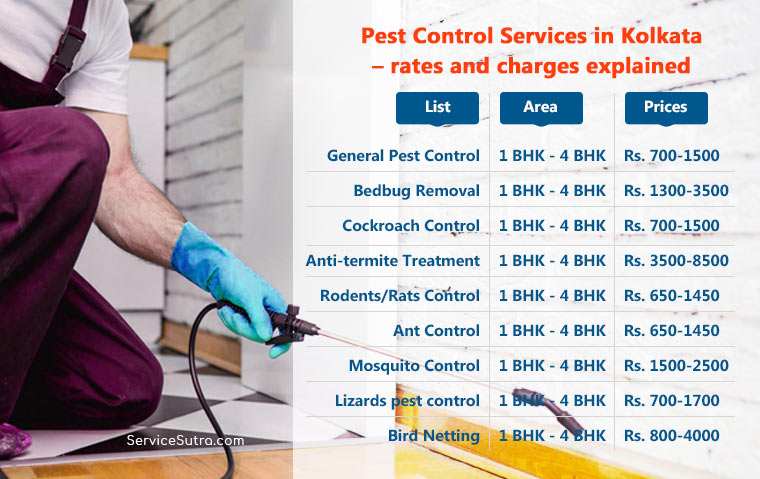 Pest Control Services in Kolkata – rates and charges explained