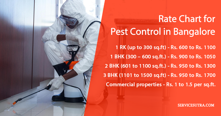Price and Rates Chart for Pest Control in Bangalore