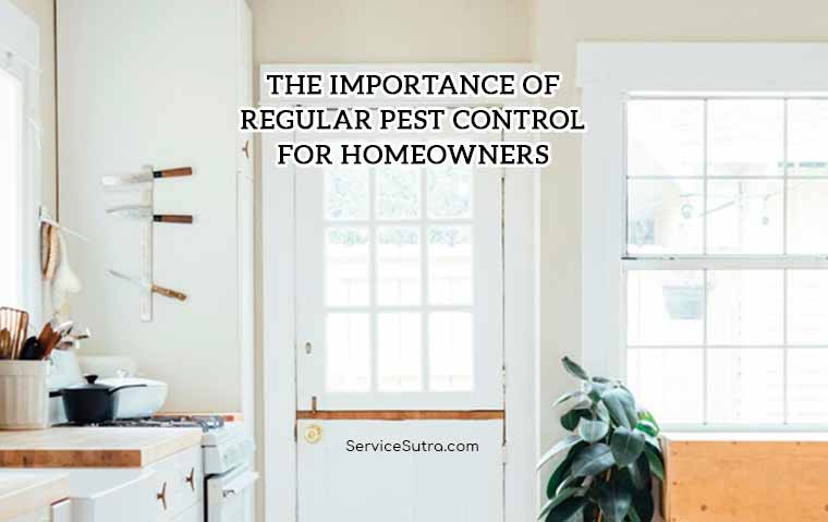 The Importance of Regular Pest Control for Homeowners