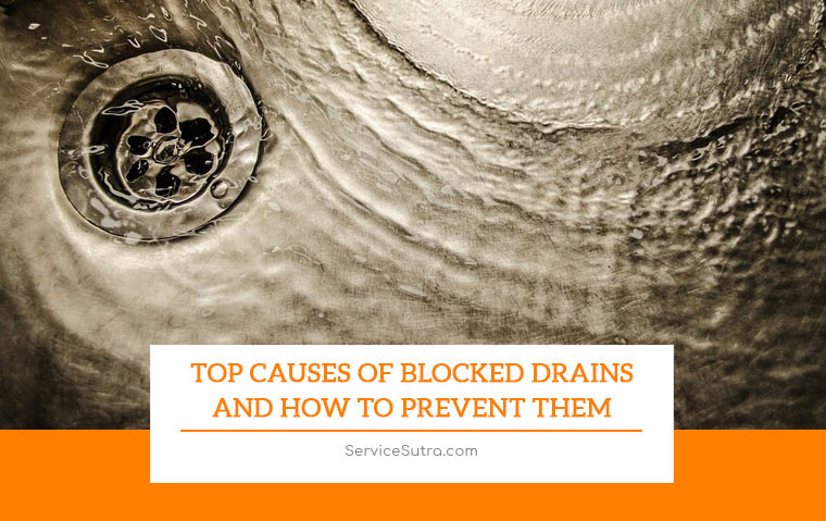 Top Causes of Blocked Drains and How to Prevent Them