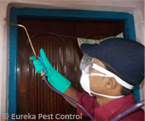 Eureka Pest Control, Kolkata