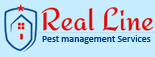 Real Line Pest Management Services, Ahmedabad