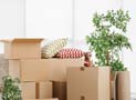 Unique packers and movers, Indore