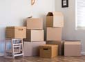 Rainbow Packers and Movers, Indore